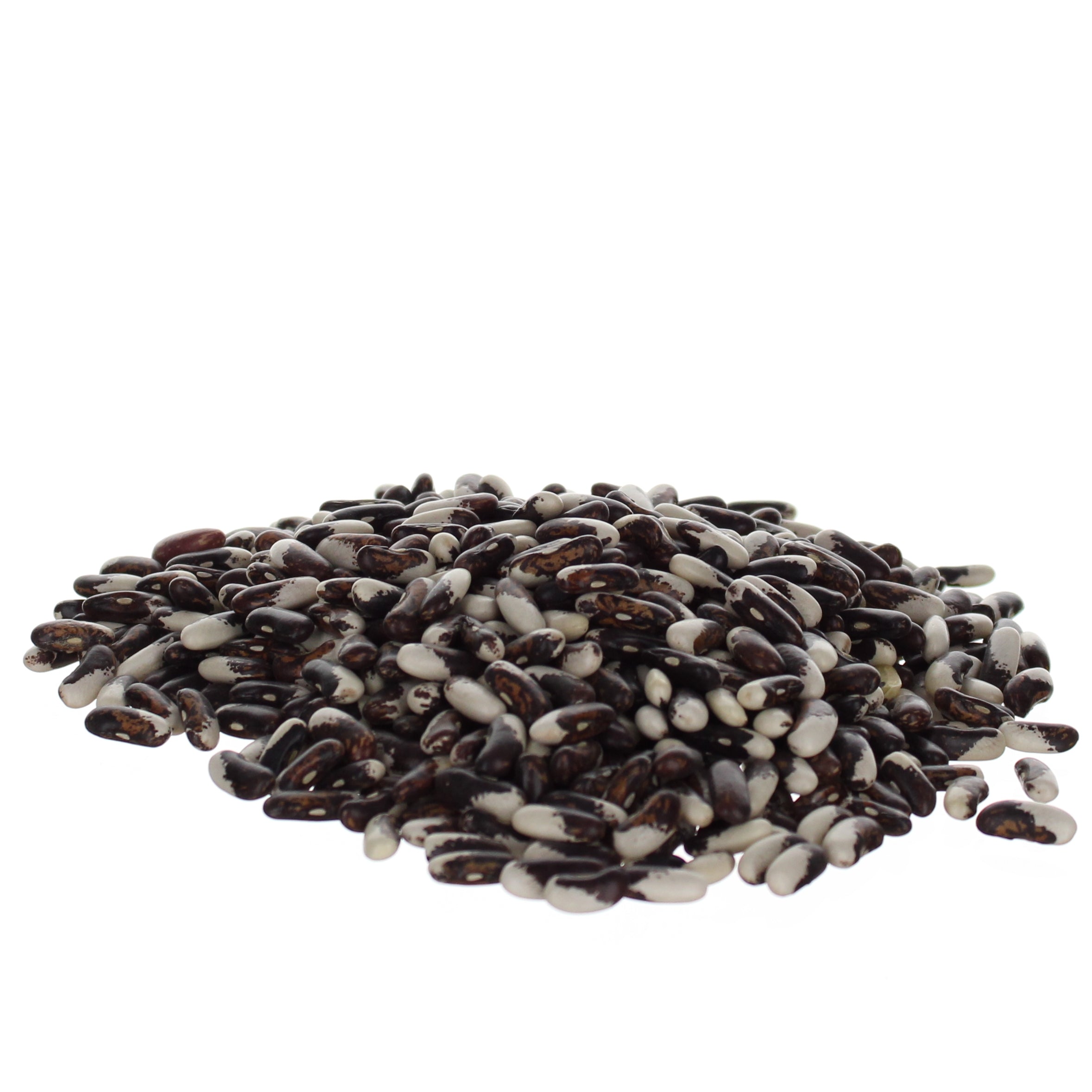 Appaloosa Beans – The Old Mill Appaloosa Beans – The Old Mill