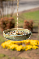 Bird Feeder Greenbrier Moss