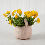 Mini Pottery Basket